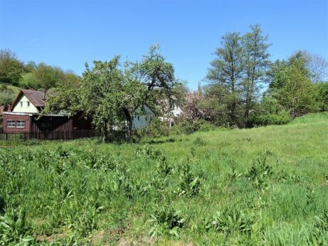 Pohled přes pozemek k&nbsp;potoku